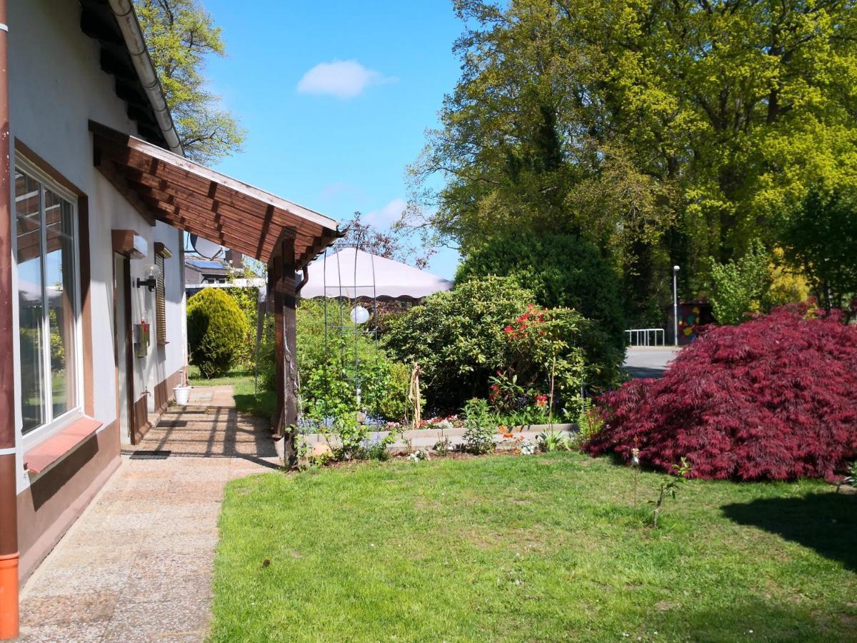 Wulsbuttel Kuenstler Ferienwohnung 3 Zimmer Kueche Bad Zentrale Lage מראה חיצוני תמונה