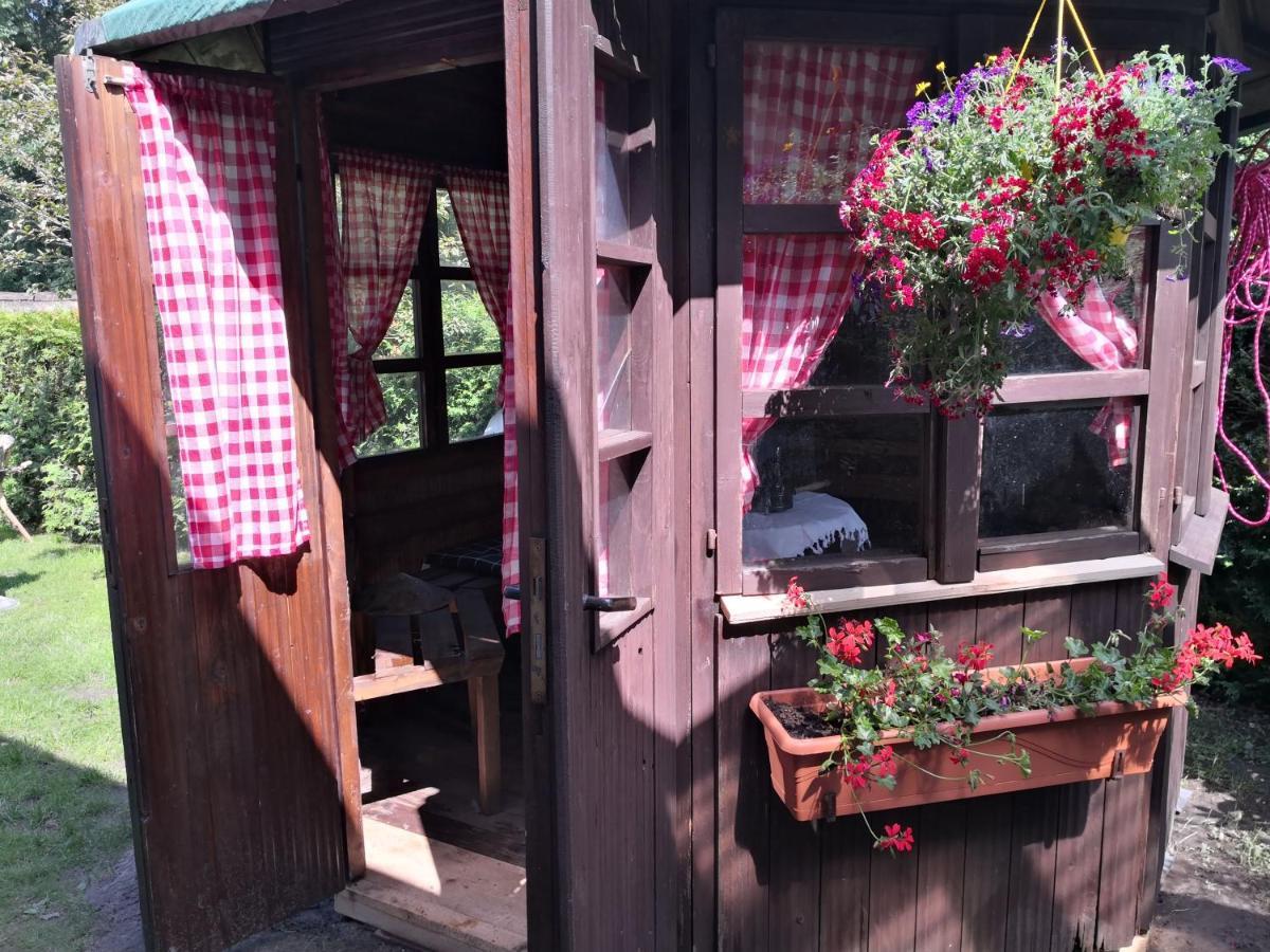 Wulsbuttel Kuenstler Ferienwohnung 3 Zimmer Kueche Bad Zentrale Lage מראה חיצוני תמונה